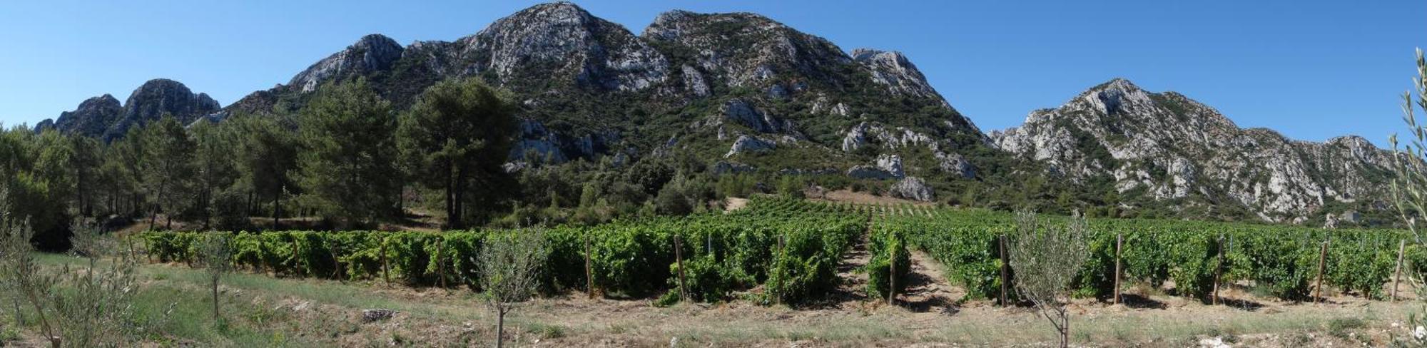 Les Lavandins-Gite Magali Saint-Remy-de-Provence Luaran gambar