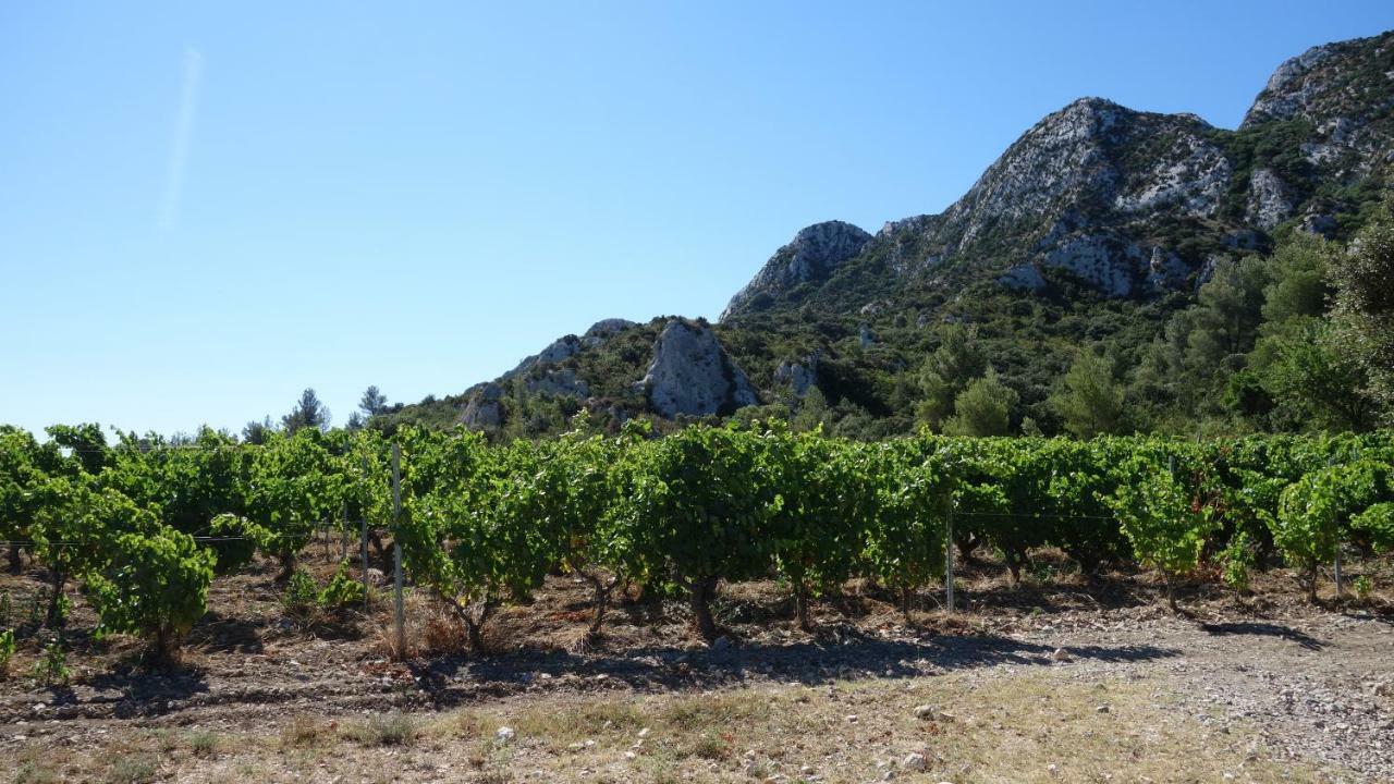 Les Lavandins-Gite Magali Saint-Remy-de-Provence Luaran gambar