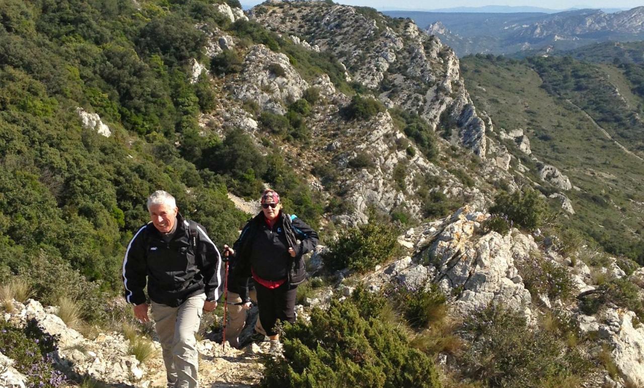 Les Lavandins-Gite Magali Saint-Remy-de-Provence Luaran gambar